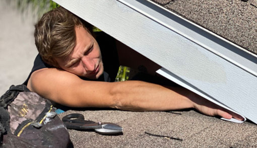 Wildlife Exclusion Tarpon Springs Pinellas County Wildlife Exclusion Expert Working on the Attic of Tarpon Springs Home