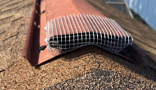 Bird Attic Prevention Tarpon Springs Image of Attic Bird Prevention Project in Tarpon Springs