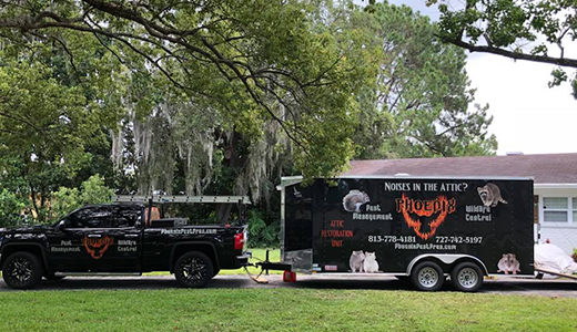Pest Control in Land O Lakes FL Company Vehicles of a Pest Control Business Parked In Front of a House in Land O Lakes Florida