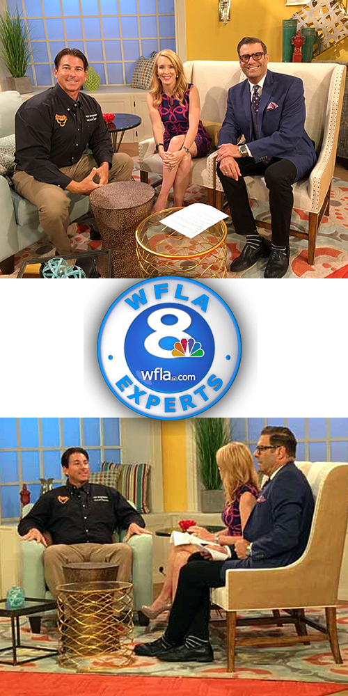 Steve Barker, Owner of Phoenix Pest Interviewed by Two TV Hosts