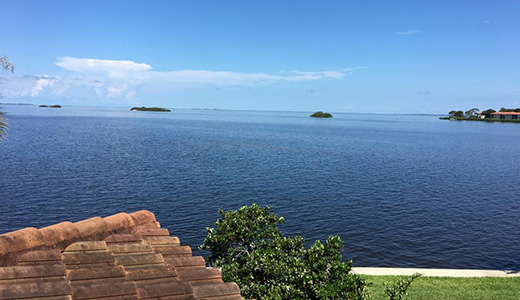 Mosquito Control in Holiday FL View from a House in Holiday Florida That Received Mosquito Control Services