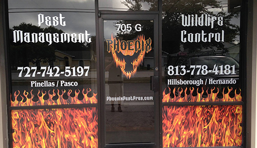 Pest Control in Holiday FL Door With Contact Info of the Best Pest Control Company in Holiday Florida
