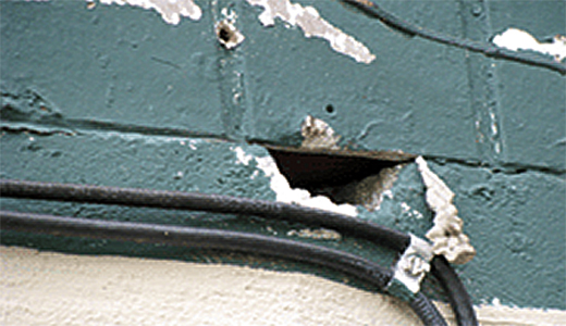 Animal Removal Holiday Hole Found By Animal Removal Professionals Scanning House in Holiday Florida