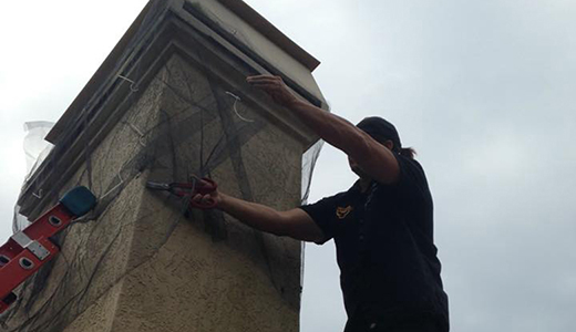 Bat Removal Professional Putting Net on the Roof To Keep Bats From Entering Dunedin FL House