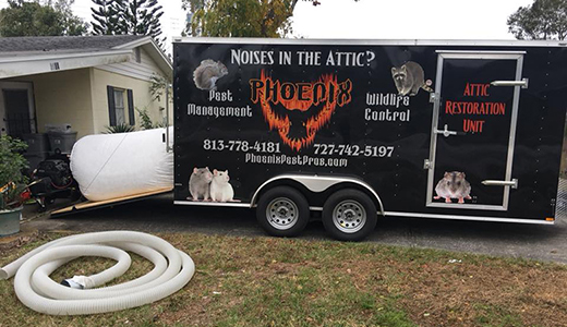 Truck of the Top Roach Control Company Servicing Dunedin Florida